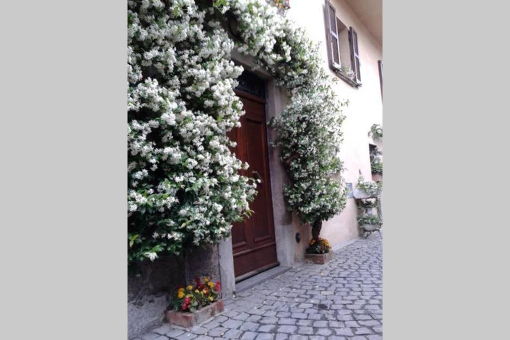 Il Gelsomino Di Isia Villa Orvieto Exterior photo